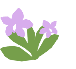An illustration of a purple orchid