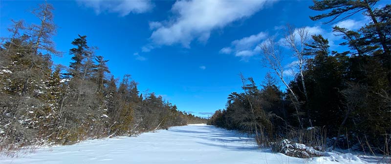 A blanket of snow across a trail with a blue sky overhead
