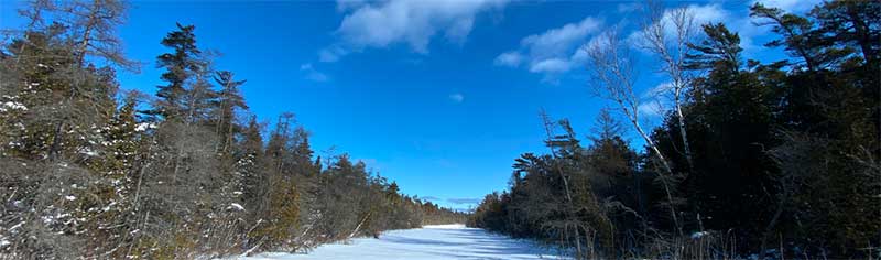 A blanket of snow across a trail with a blue sky overhead.