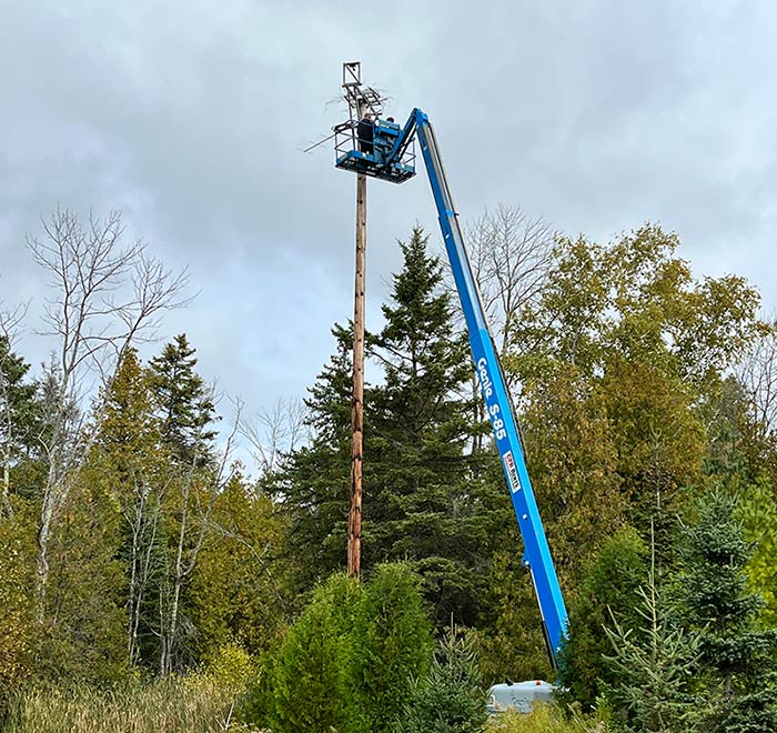 A volunteer in a cherry picker installs a Motus Wildlife Tracking System station to monitor migratory birds.