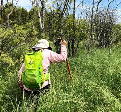 A Citizen Science participant hiking through tall grass.