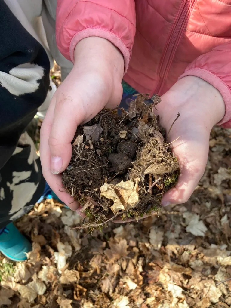 Nests that 3rd graders constructed during a lesson about bird eggs and nest types.