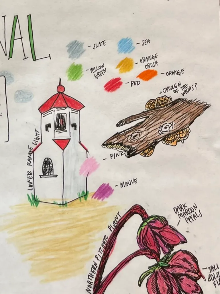 Illustration of mushrooms and the lower range light in a Nature Journal.