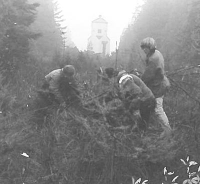Old black and white photo of volunteers clearing brush with a range light up the hill in the background.