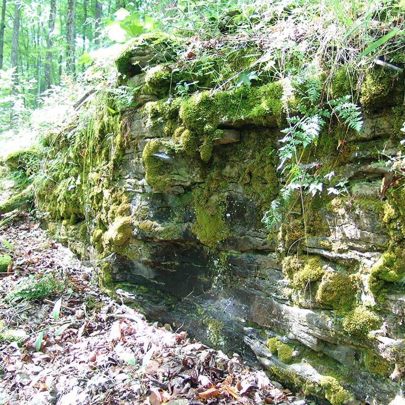 Appel's Bluff rock outcropping.