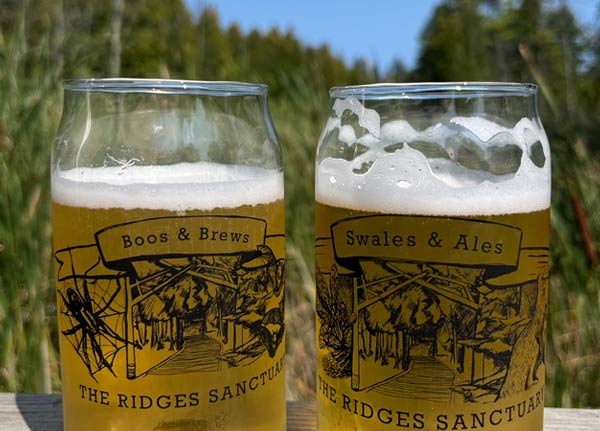 Two commemorative beer glasses that say Boos & Brews and Swales & Ales.