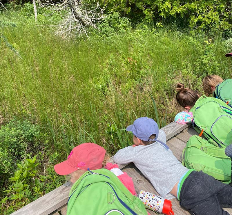 Kids laying down on the boardwalk to peer over the edge and explore the tall grass.