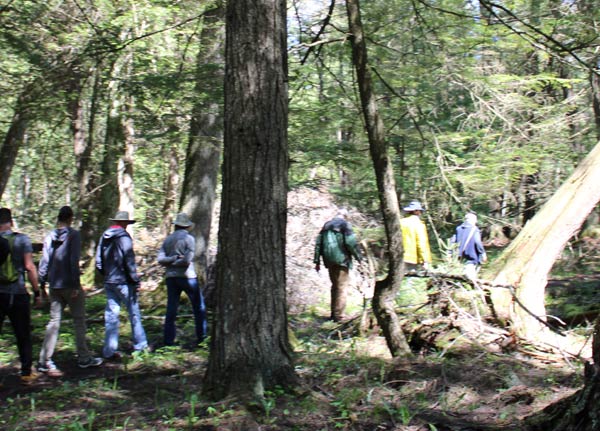 A group of hikers through Logan Creek.
