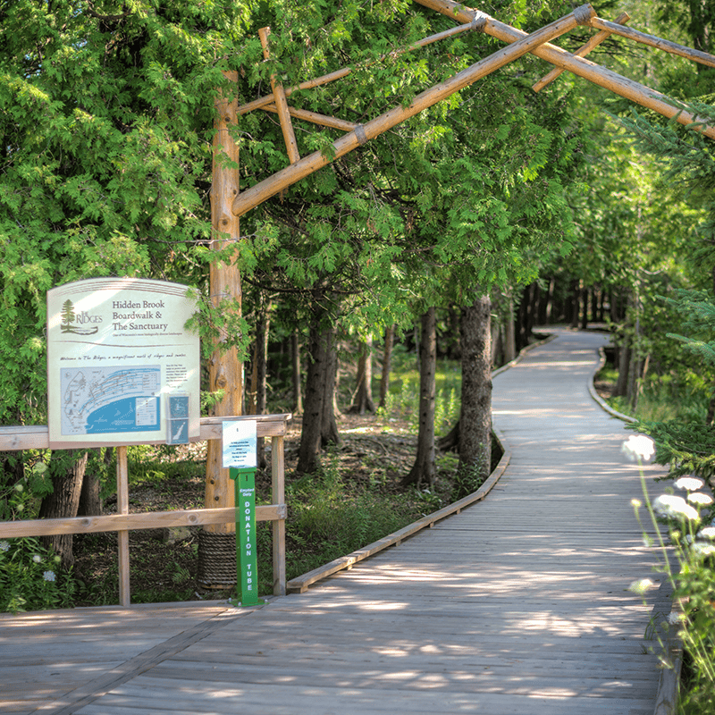 Boardwalk path extending into the woods with a wooden gate and sign in front.