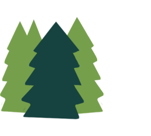 An illustration of pine trees.