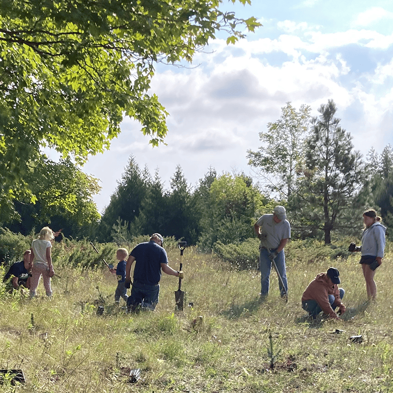 A group of volunteers working in a field with shovels.