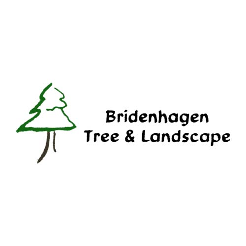 Bridenhagen Tree & Landscape logo.